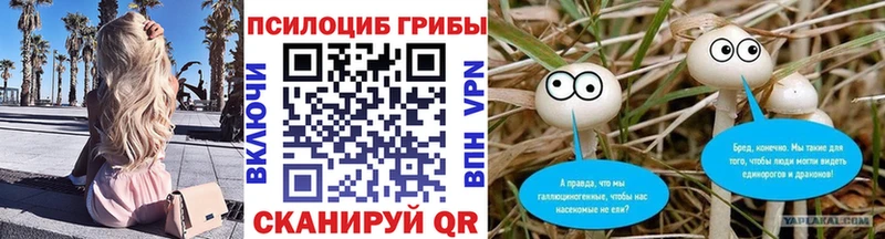 Псилоцибиновые грибы GOLDEN TEACHER Костерёво